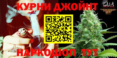 мяу мяу мука Гусиноозёрск
