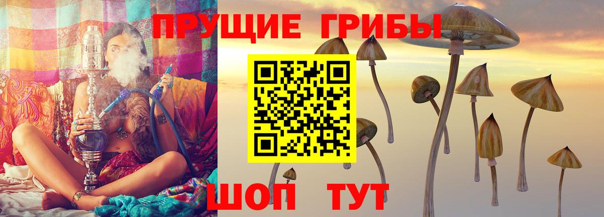 Галлюциногенные грибы MAGIC MUSHROOMS Карабулак